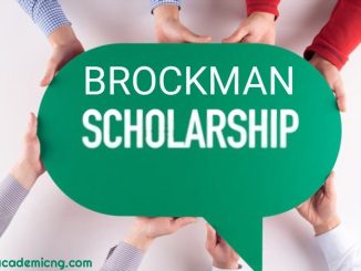 Brockman Foundation Scholarship 2024 Application