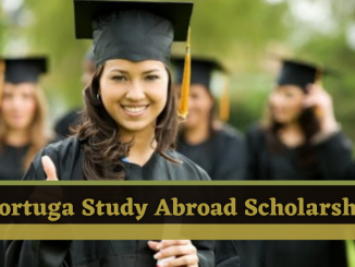 Tortuga Backpack Scholarship 2024 Application, Eligibility, How To Apply