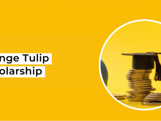 Orange Tulip Scholarship 2023 Application, Eligibility, Deadline, How To Apply