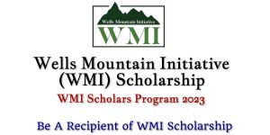 Wells Mountain Initiative (WMI) Scholarship For Developing Countries 2023 Application