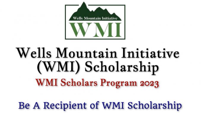 Wells Mountain Initiative (WMI) Scholarship For Developing Countries 2023 Application