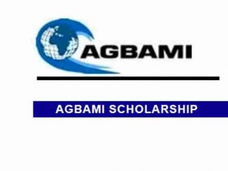 Agbami Scholarship For Undergraduate Nigerian Students 2023/2024