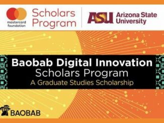 Baobab Scholarship For Young African Professionals 2023/2024