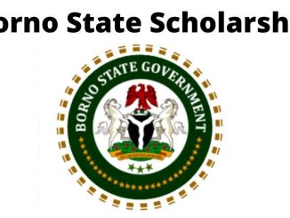 Borno State Scholarship 2024 Application