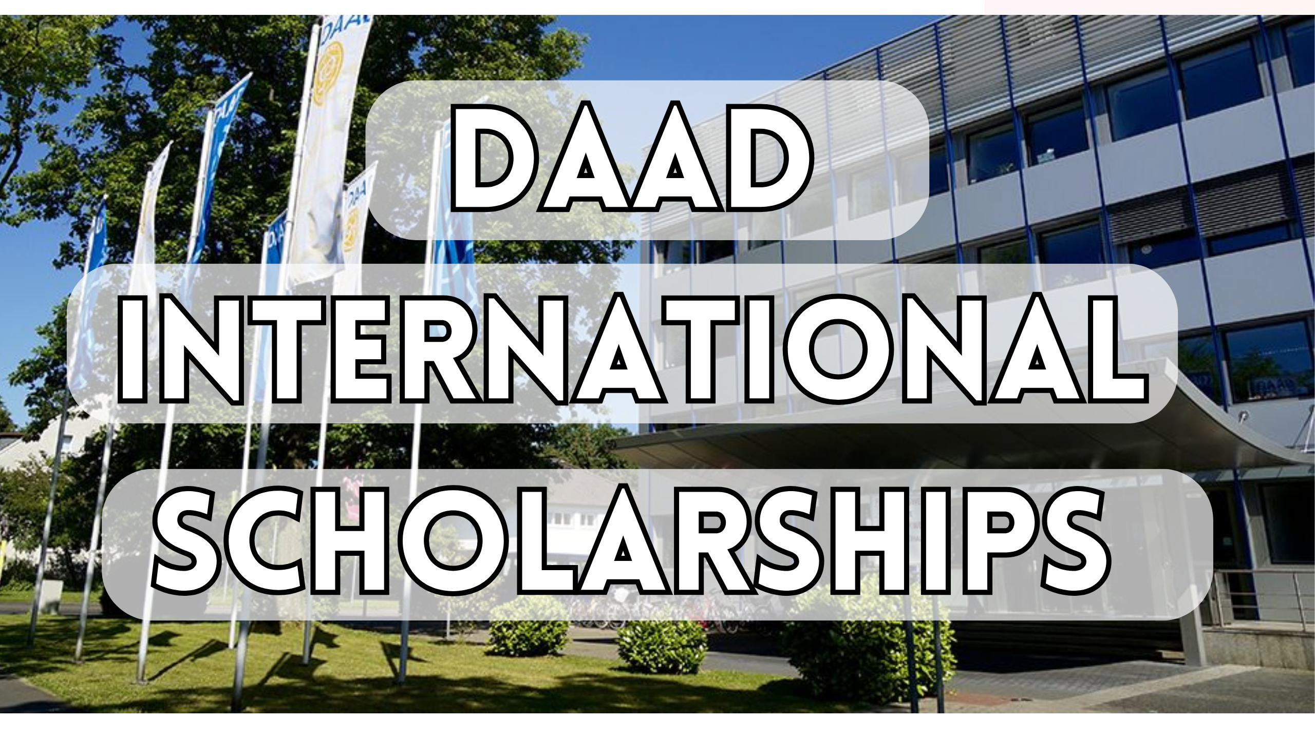 DAAD International Scholarships